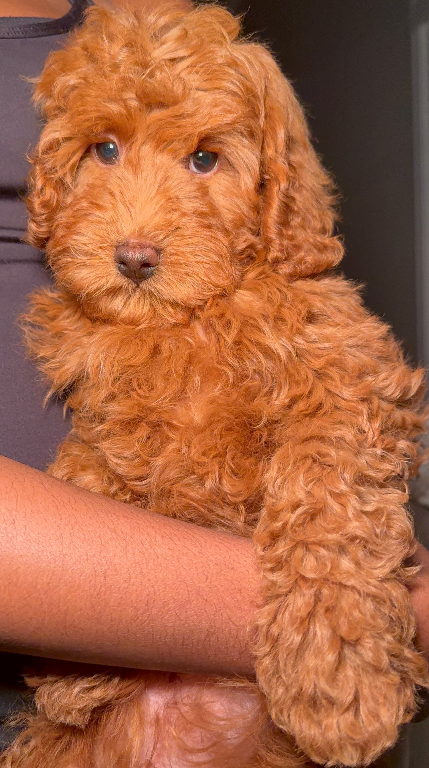 Reserve With A Deposit