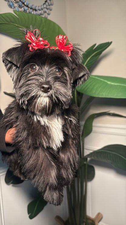 Reserve With A Deposit