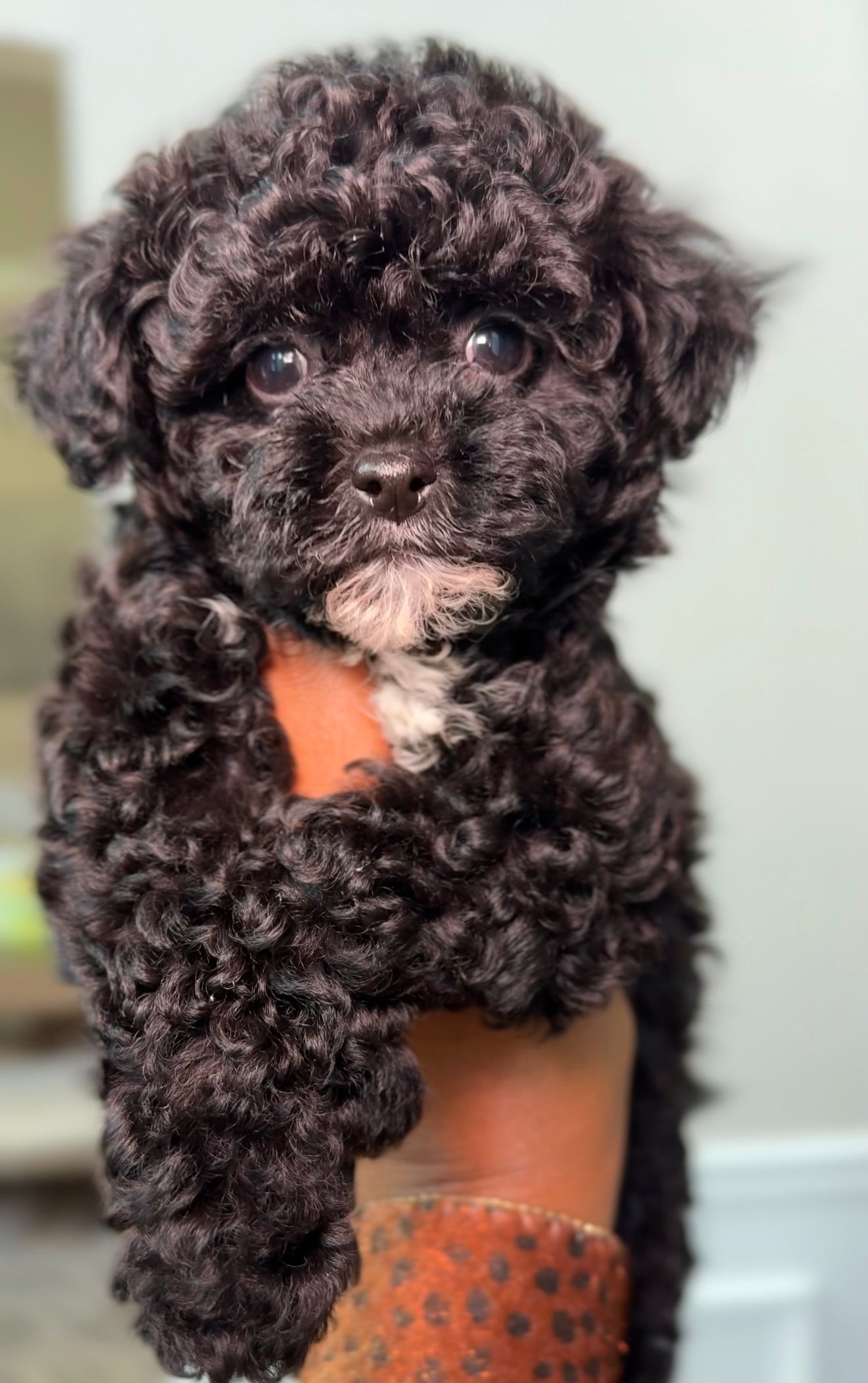 Reserve With A Deposit