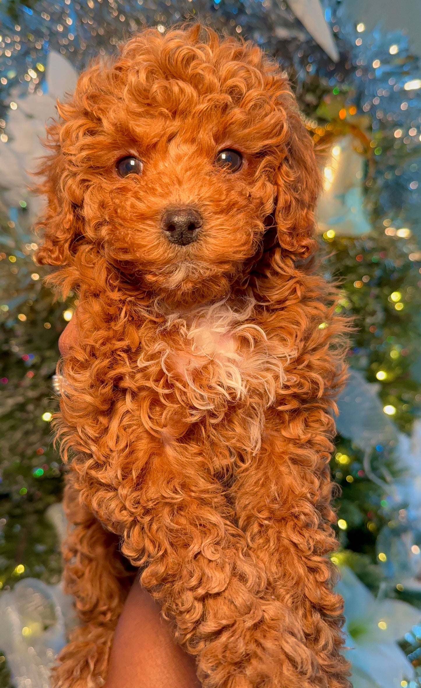 Reserve With A Deposit