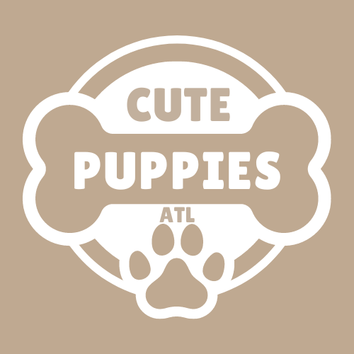 Cute Puppies ATL